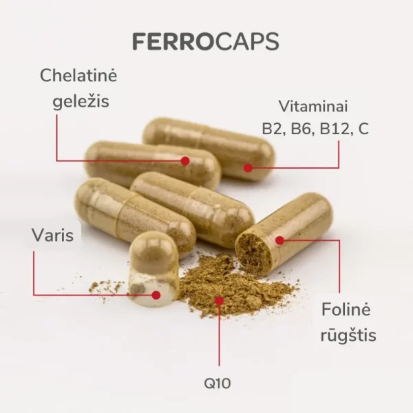 FERROCAPS CoQ10, chelatinė geležis su Q10, maisto papildas, 60 kapsulių