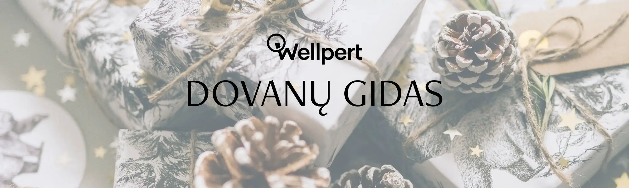 DOVANŲ GIDAS DOVANŲ GIDAS