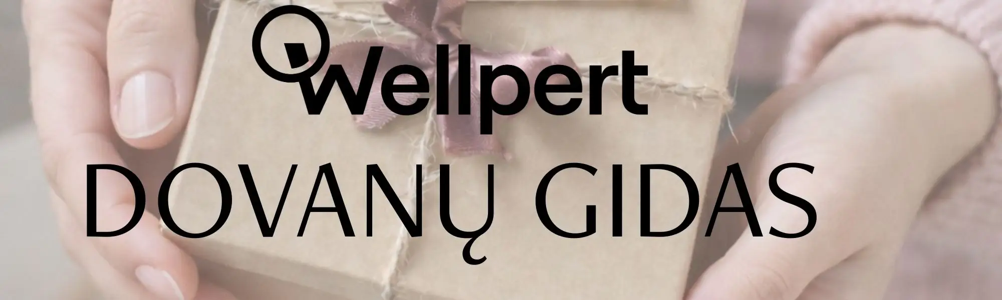 DOVANŲ GIDAS _vizualas