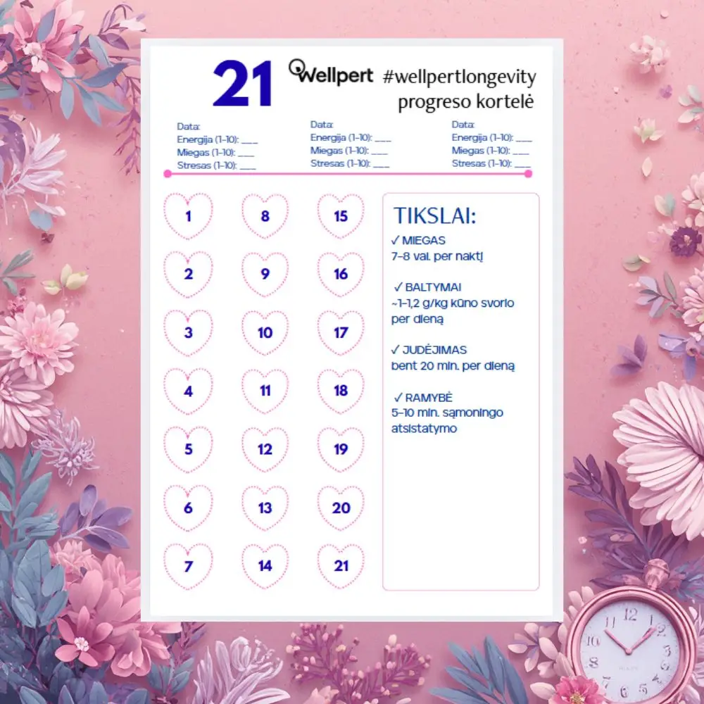 progreso kortelė web progreso kortelė web