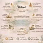 wellpert ilgaamžiškumo protokolas